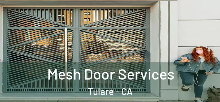 Mesh Door Services Tulare - CA